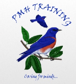 Perinatal MH Training