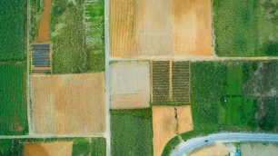 A beginner's guide to Agrochemical Formulation Strategies