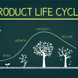 Product marketing's role in the product lifecycle