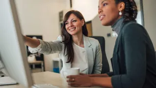 What are the advantages to having trained DSE Assessors?