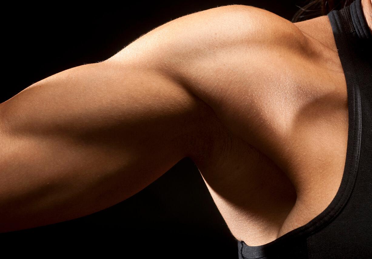 cpd-AIFiMM-Formazione-elastic-elements-of-muscle