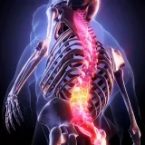 Vector Analysis in Musculoskeletal Biomechanics - Part 1: Foundations and Clinical Principles