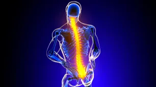 Vector Analysis in Musculoskeletal Biomechanics - Part 2: Clinical Applications and Case Interpretation