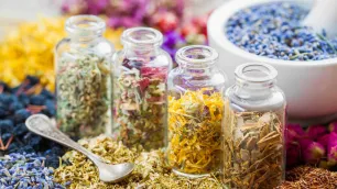 The Scientific Basis of Herbal Medicine in Modern Clinical Practice