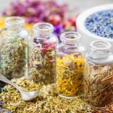 The Scientific Basis of Herbal Medicine in Modern Clinical Practice