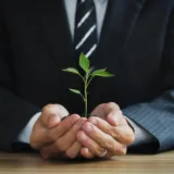 Green is the New Gold: The Emergence of the Chief Sustainability Officer