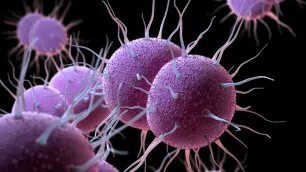 Gonococcal infection, antibiotic resistance, and its wane on the introduction of ceftriaxone and Cefixime