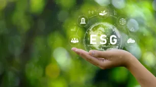 ESG ratings: Achieving a common ground