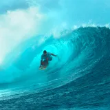 Embracing Sustainability: The Imperative of Riding the Wave, Not Fighting It