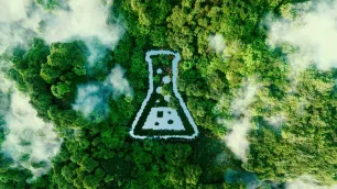 Green Chemistry: Providing value through sustainable growth