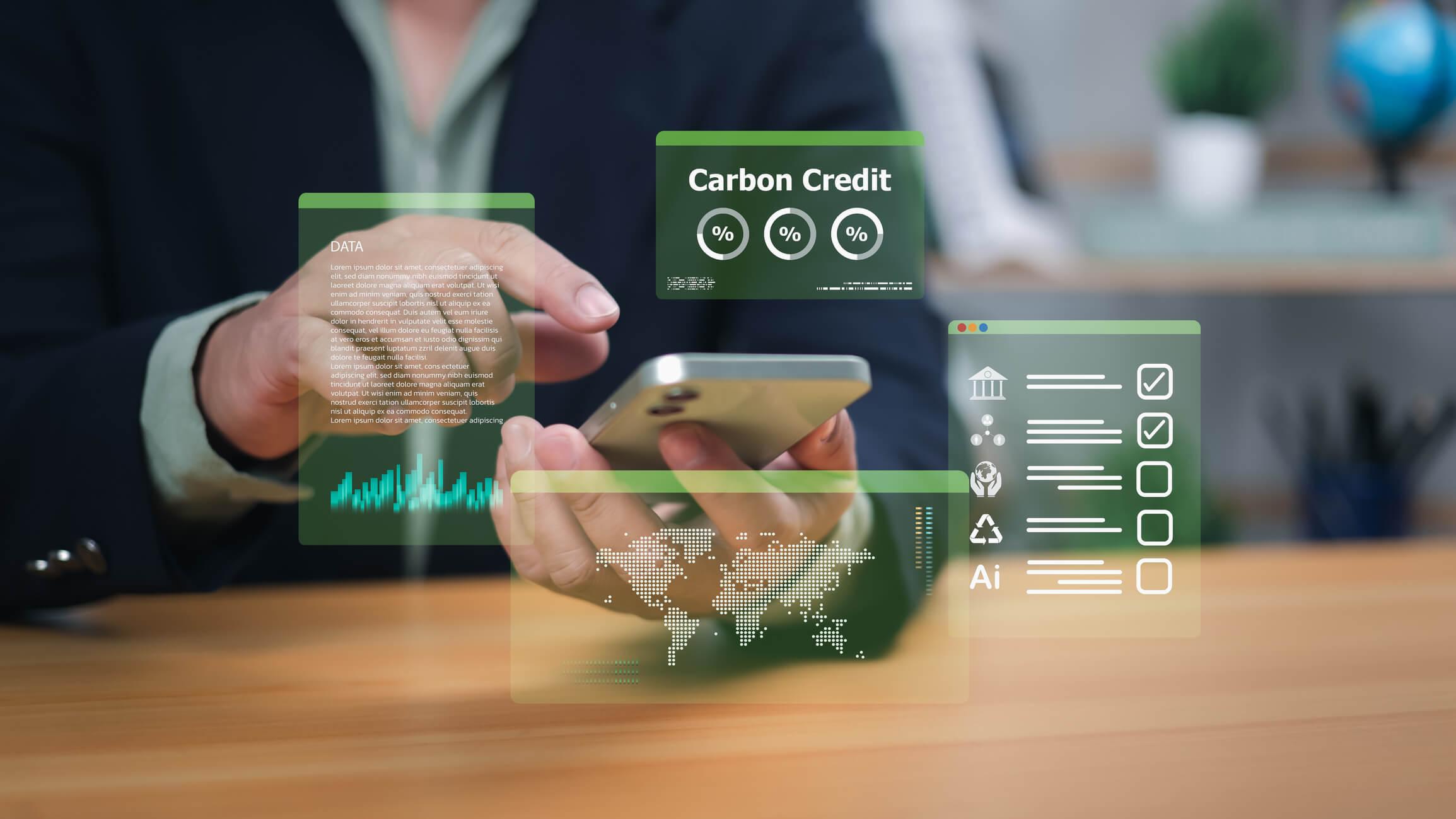 cpd-IFRS-Lab-use-of-carbon-credits