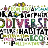 Nature-Positive Business: Why Biodiversity Credits Matter?