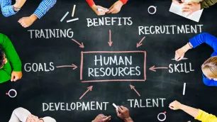 The Role of HR Strategies in Driving Organizational Transformation