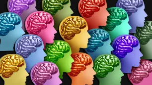 The Nervous System Behind Behaviour: Why Interpretation Matters More Than Correction