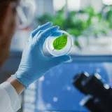 When the Numbers Don’t Matter: Why Environmental Monitoring Data Alone Won’t Save You