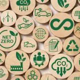 Navigating the Distinction Between Environmental Education (EE) and Education for Sustainable Development (ESD)