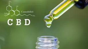 A Beginners Guide to CBD