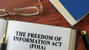 Spotlight on...Freedom of Information