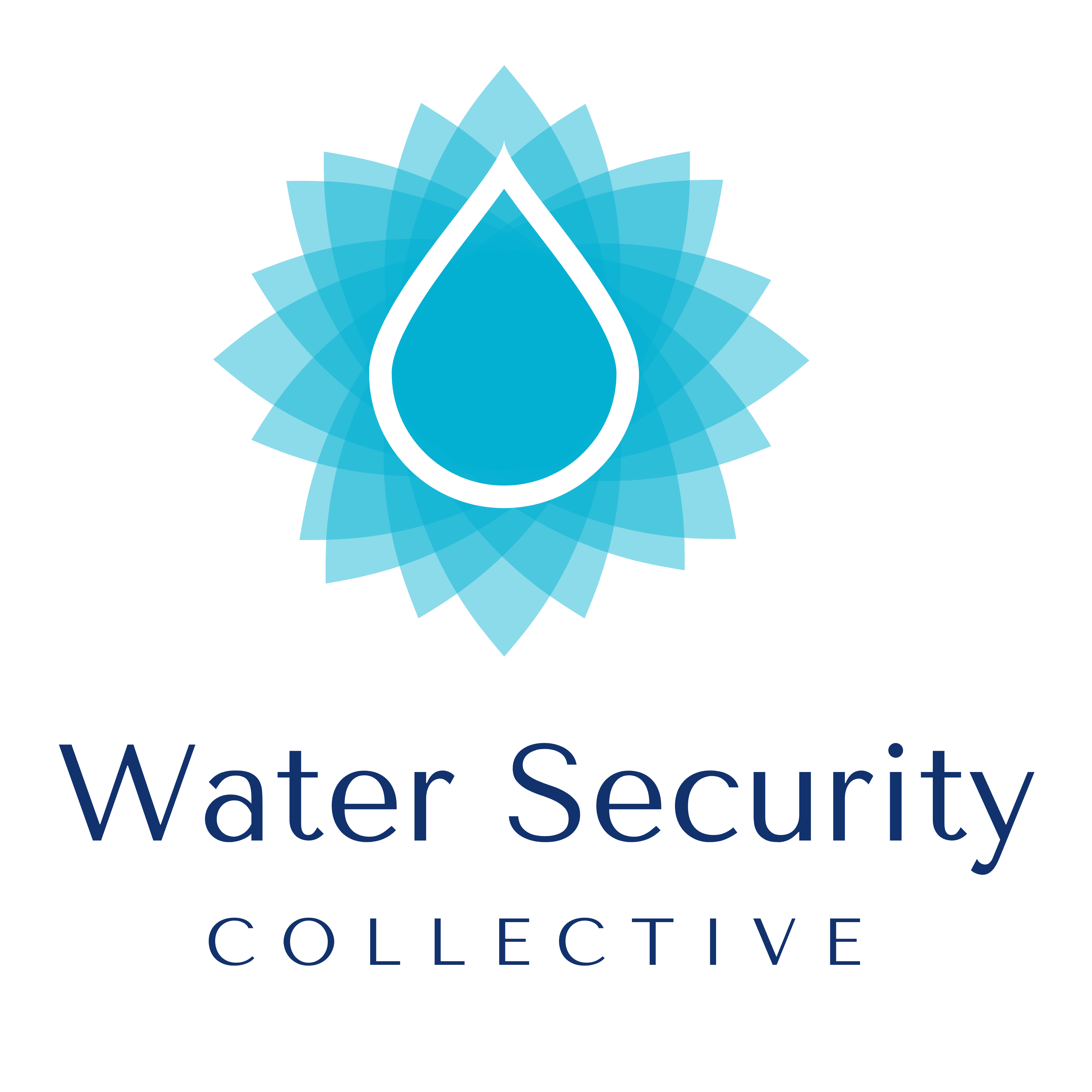 Water Security Collective